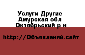 Услуги Другие. Амурская обл.,Октябрьский р-н